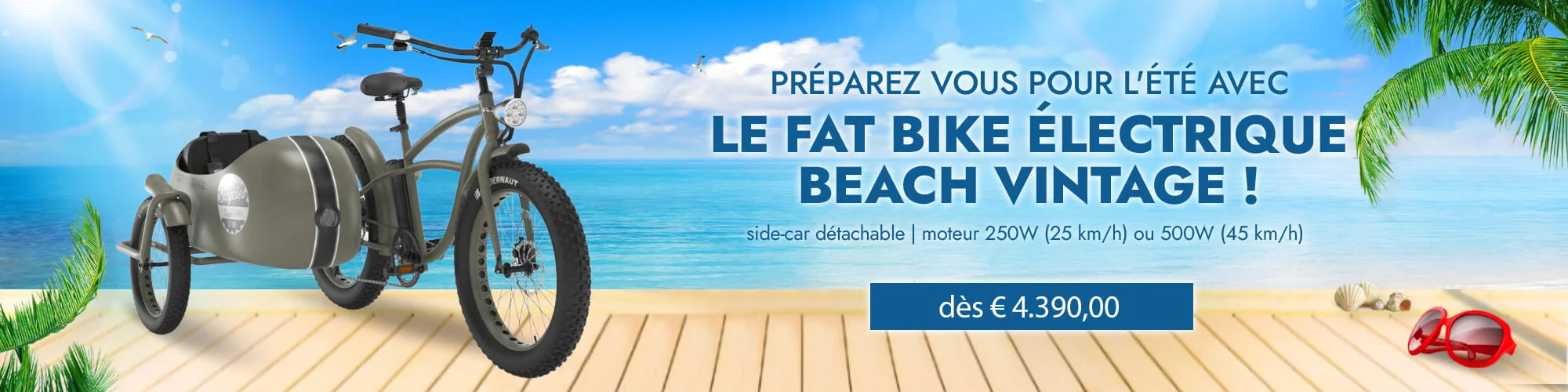 Fat Bike Electrique Velo Side Car Beach Cruiser Bad Bike